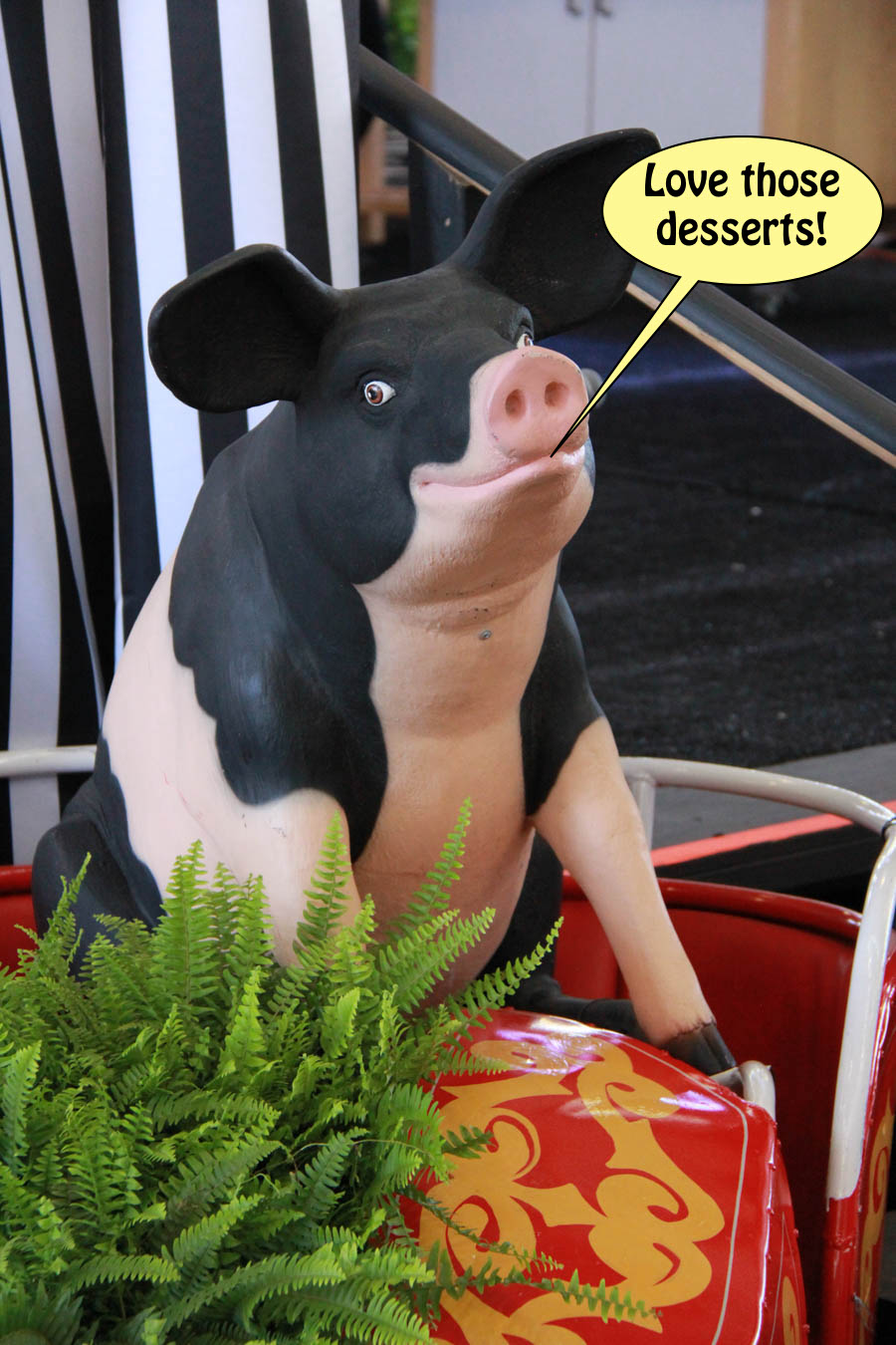 Visiting the Orange County Fair July 16th 2016