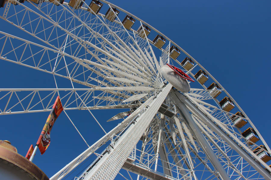 Visiting the Orange County Fair July 16th 2016