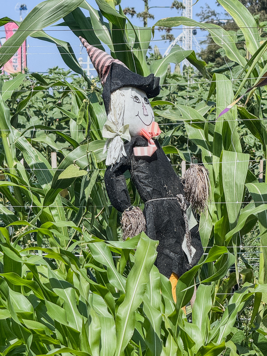 2026-07-17-opening-day-ocfair