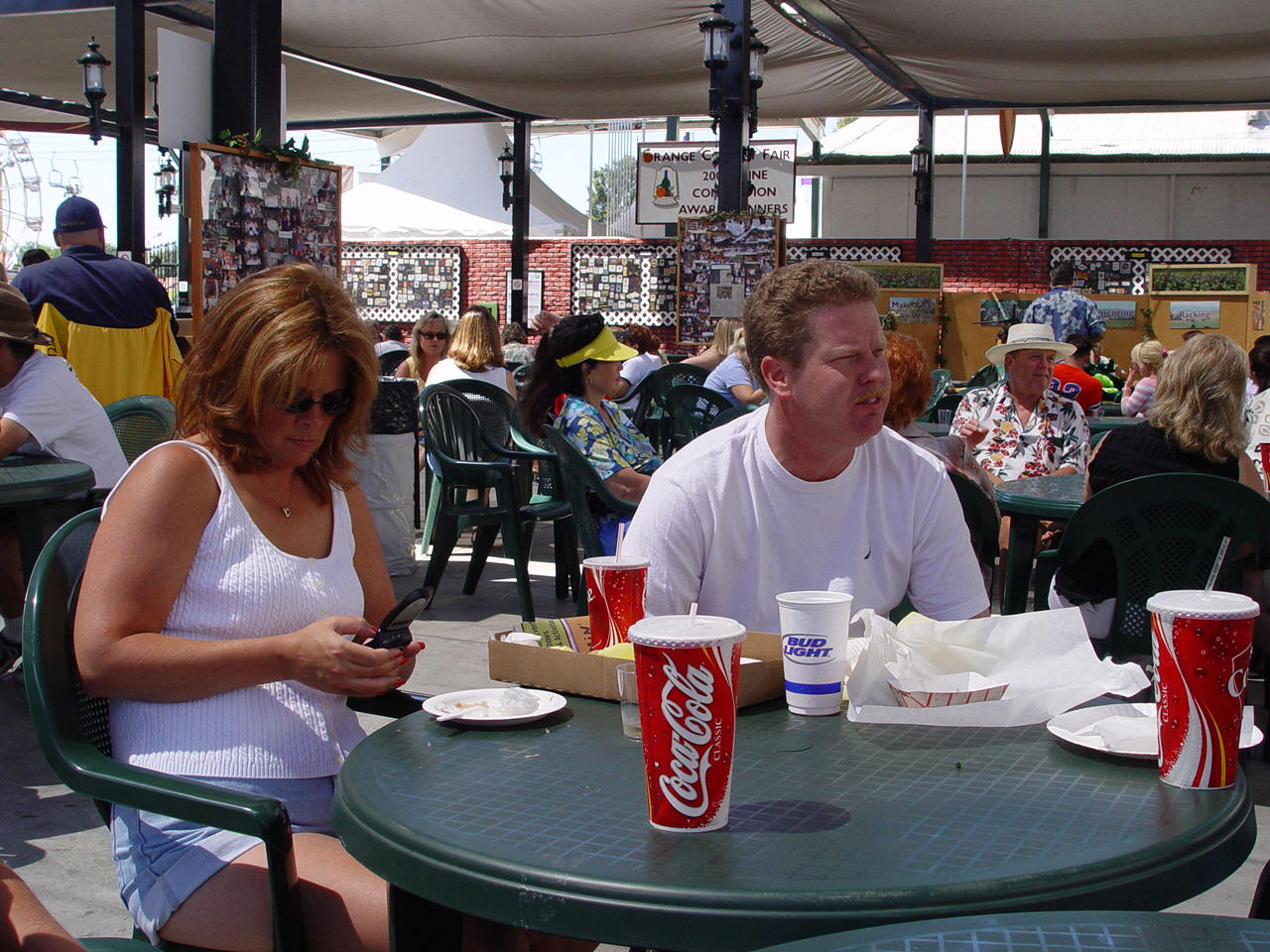 Visits to the OC Fair