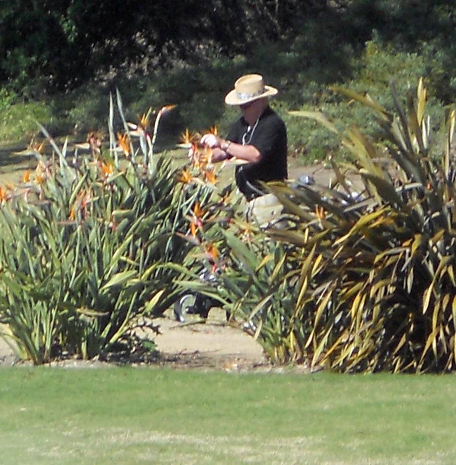 The Old Ranch Mystery Gardner discovered