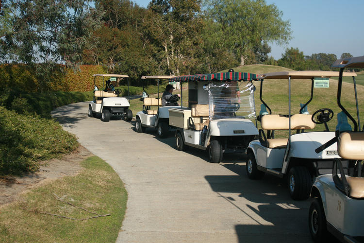 Old Ranch Pros March 2009