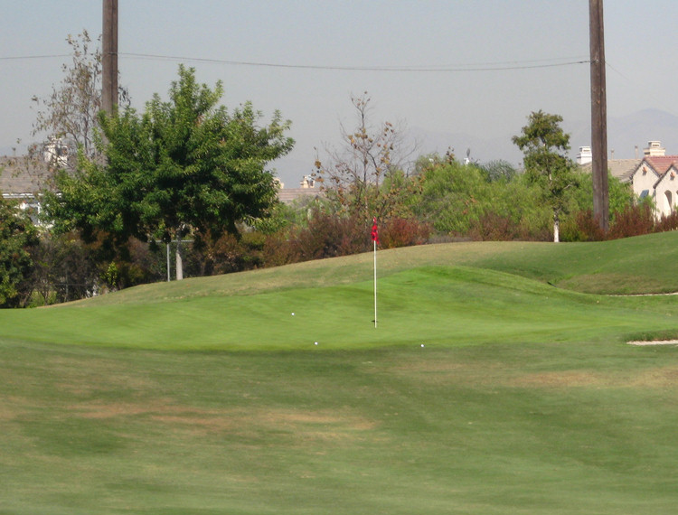 On the course with James, Sue, and Paul