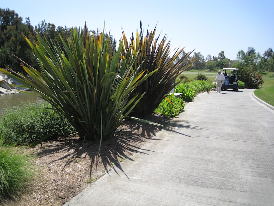 Playing golf 4/26/2013