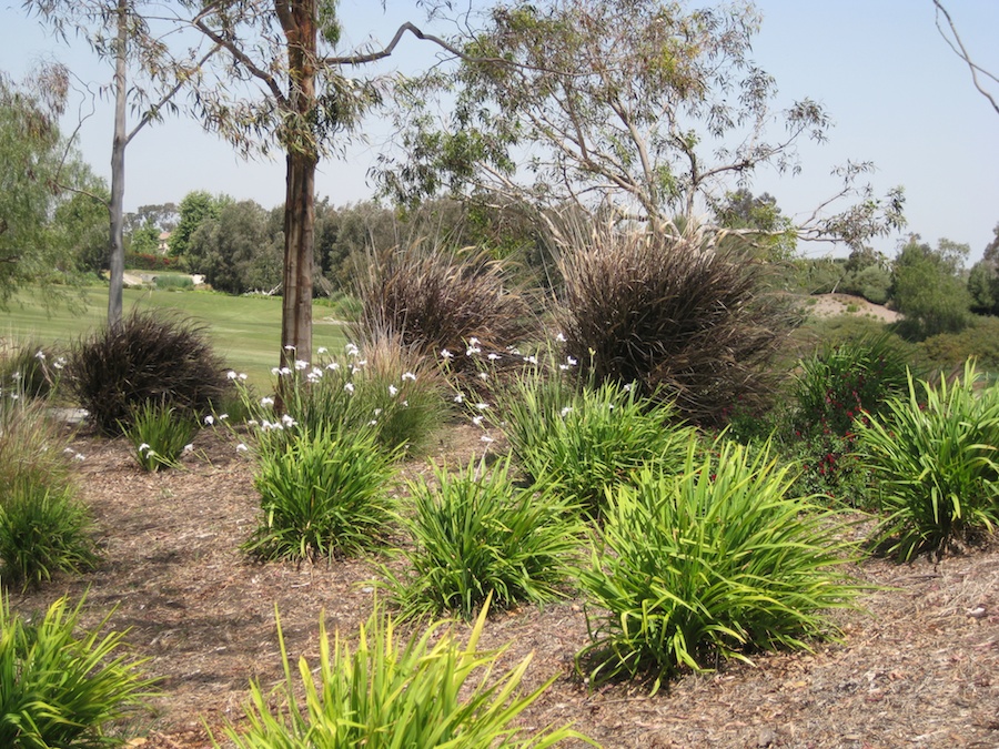 Playing golf 4/26/2013