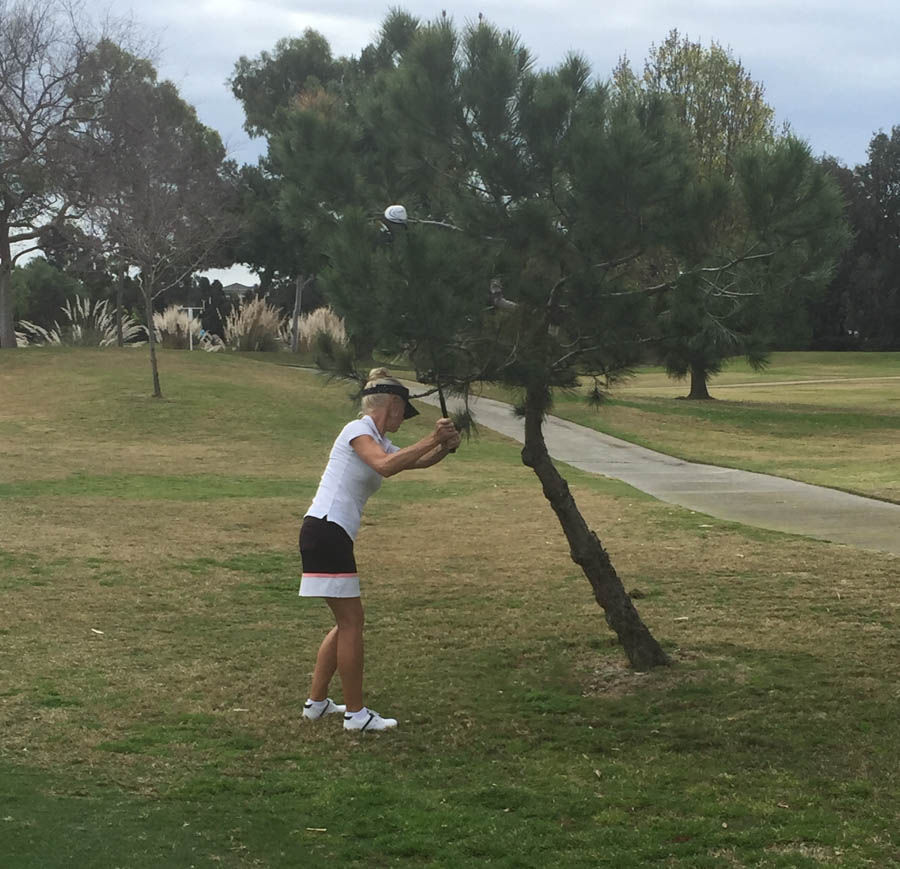 Playing golf 1/30/2015