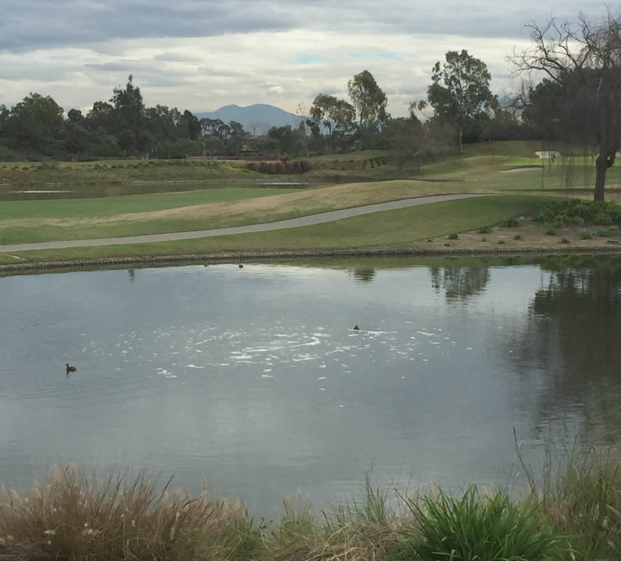 Playing golf 1/30/2015