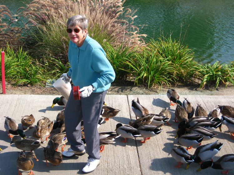 Feeding the ducks'