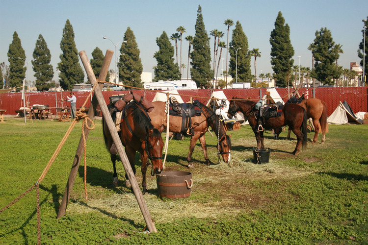 Knotts Civil War Re-Enactment 2010