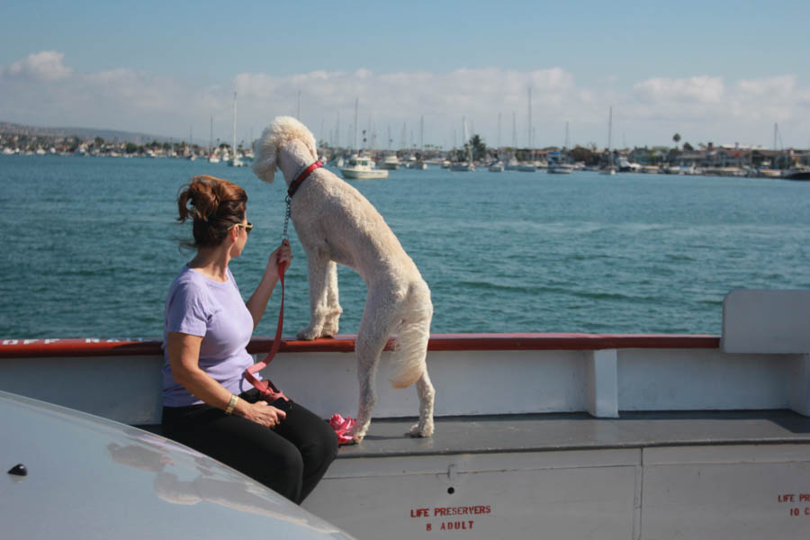 An afternoon on the water in Newport Beach 10/20/2015