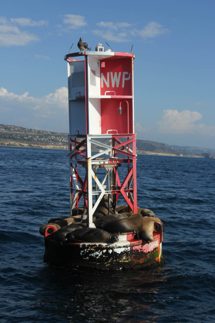 An afternoon on the water in Newport Beach 10/20/2015