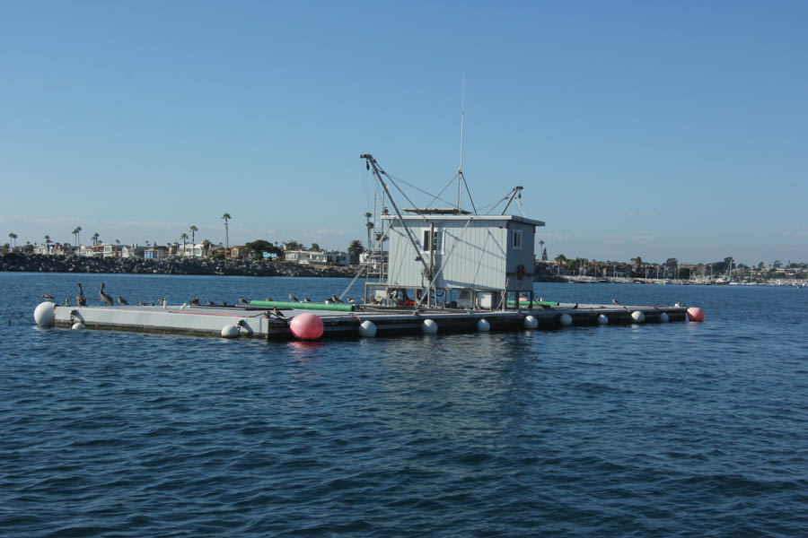 An afternoon on the water in Newport Beach 10/20/2015