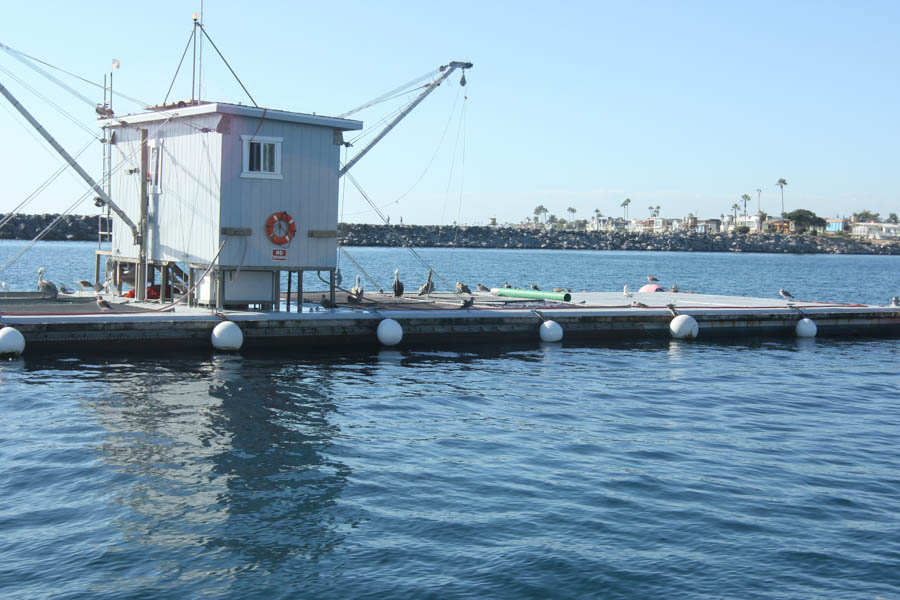 An afternoon on the water in Newport Beach 10/20/2015