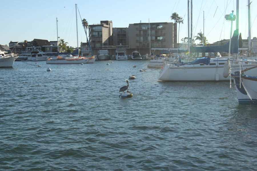 An afternoon on the water in Newport Beach 10/20/2015