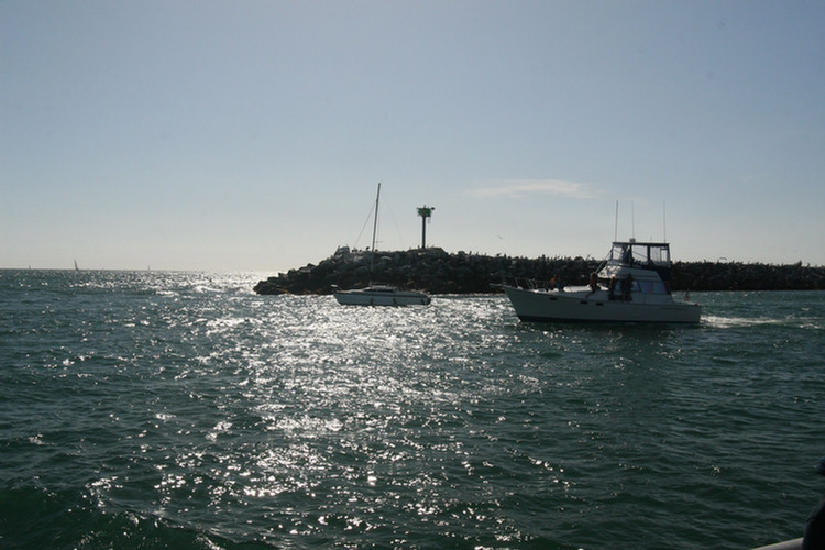 Dana Point Whale Watch 3/14/2010