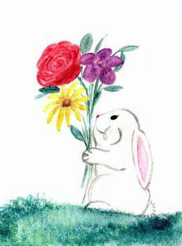 Rabbit
