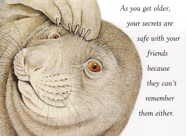 Wise animals
