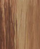 Miscellaneous backgrounds