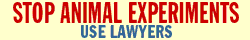 Lawyers