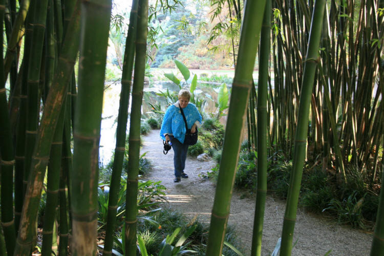 Carri behind bars at the Huntington Library