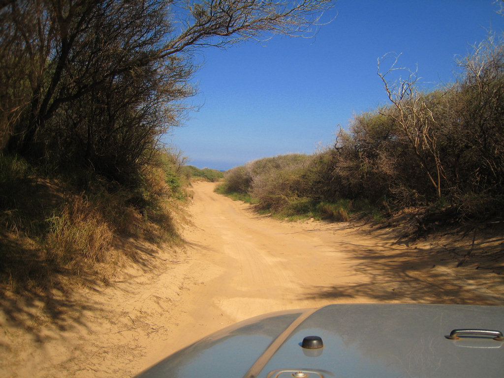 Off Roading In Lanai, Hawaii