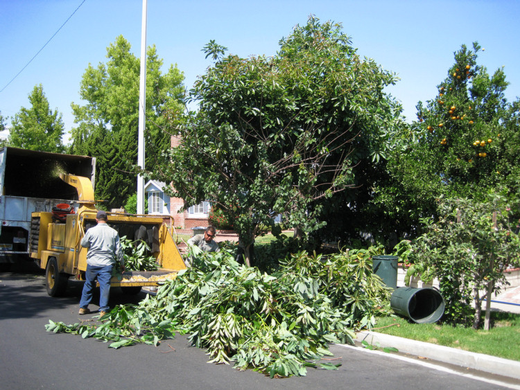 July 2009