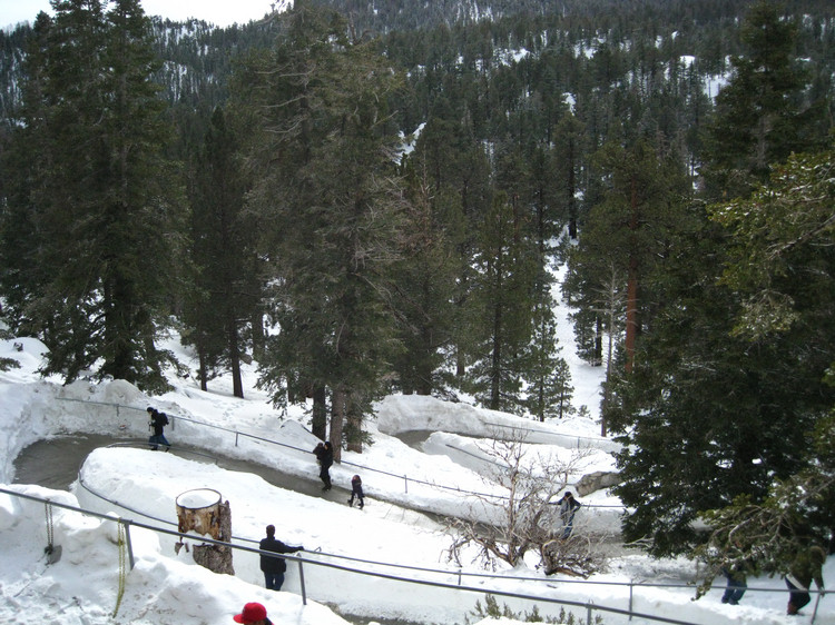 Snow Trip 2010