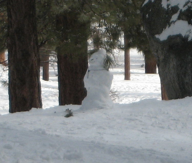 Visiting the snow 1/27/2010