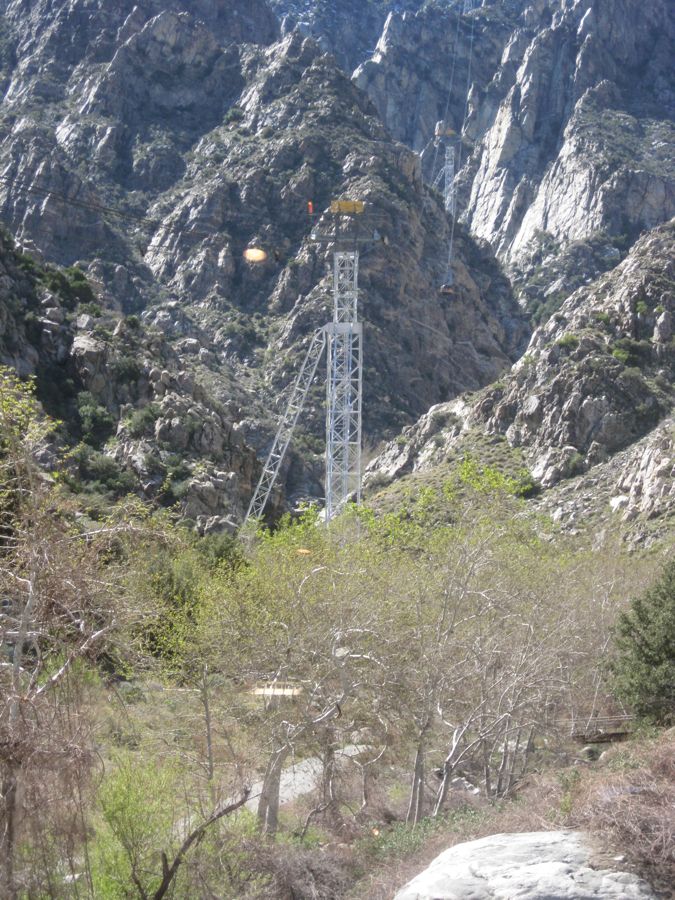 Aerial Tramway with Bunny 3/9/2011