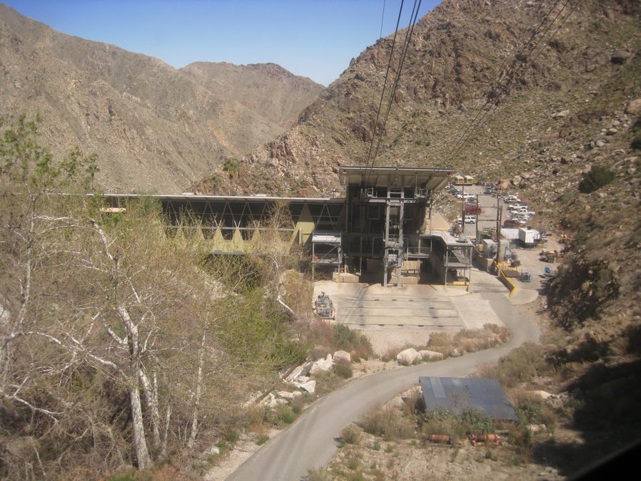 Aerial Tramway with Bunny 3/9/2011