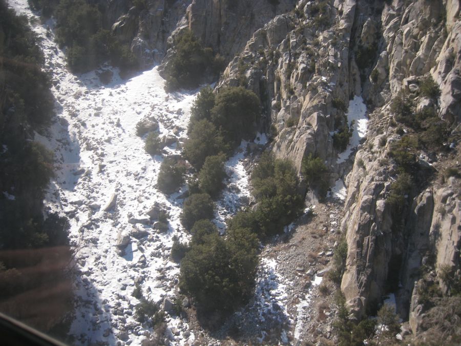 Aerial Tramway with Bunny 3/9/2011