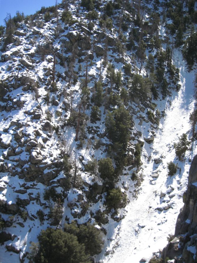 Aerial Tramway with Bunny 3/9/2011