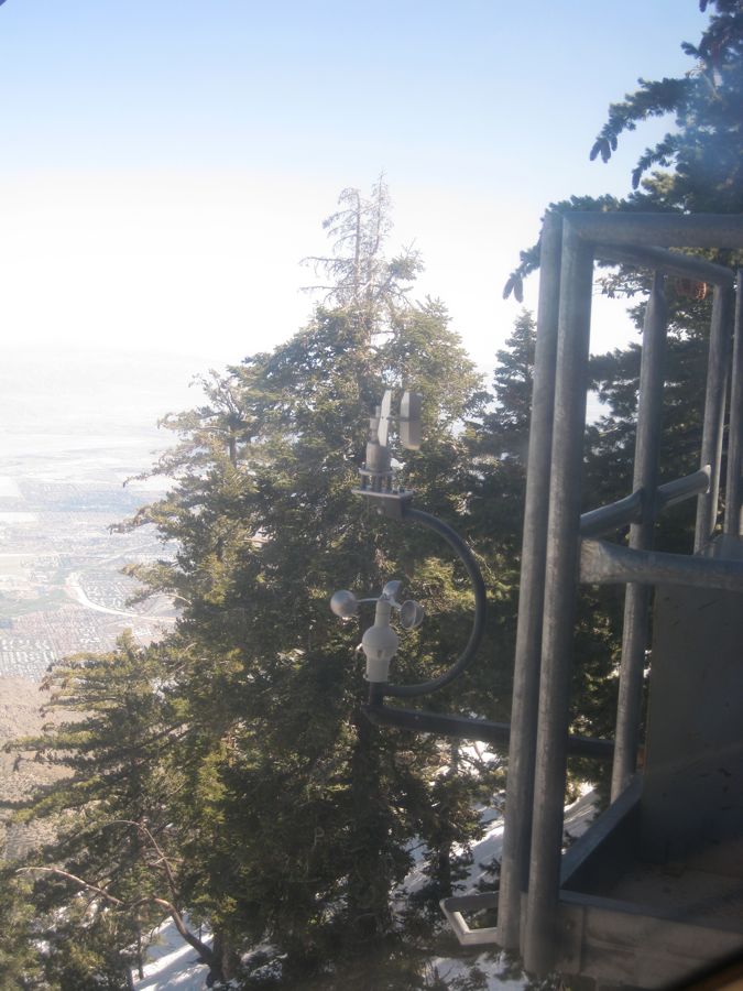 Aerial Tramway with Bunny 3/9/2011