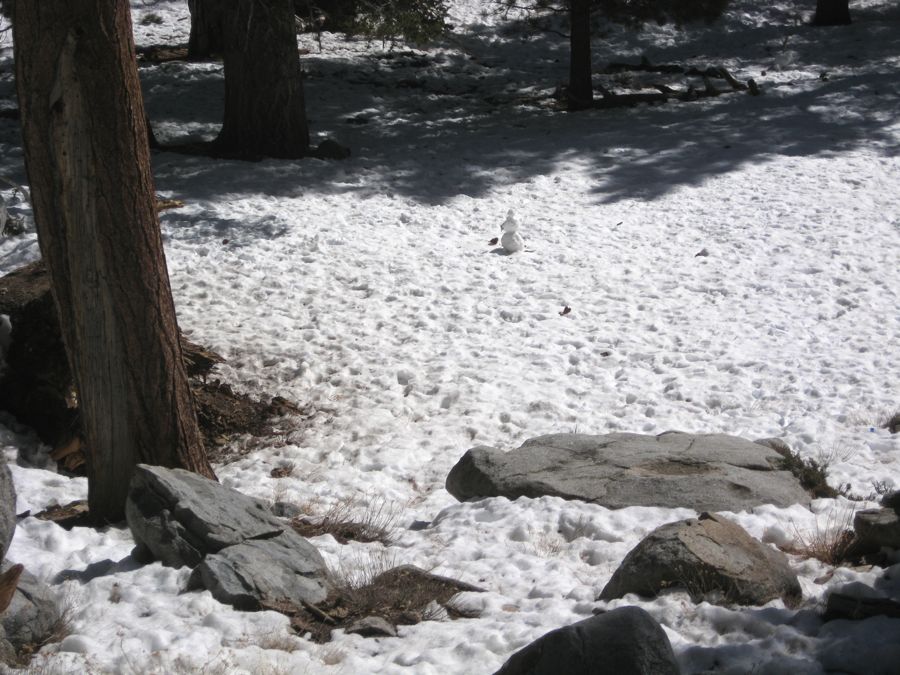 Aerial Tramway with Bunny 3/9/2011