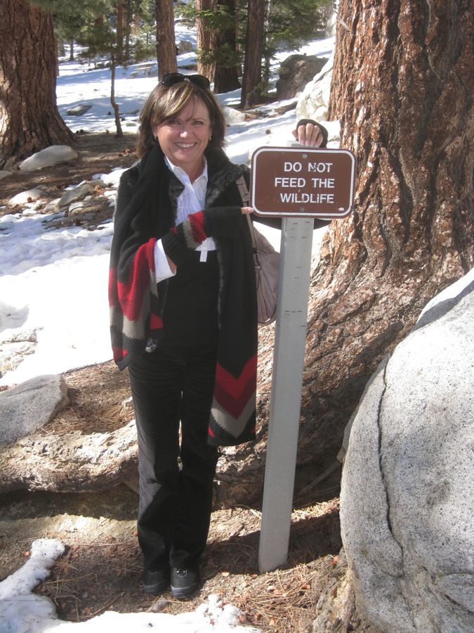 Aerial Tramway with Bunny 3/9/2011