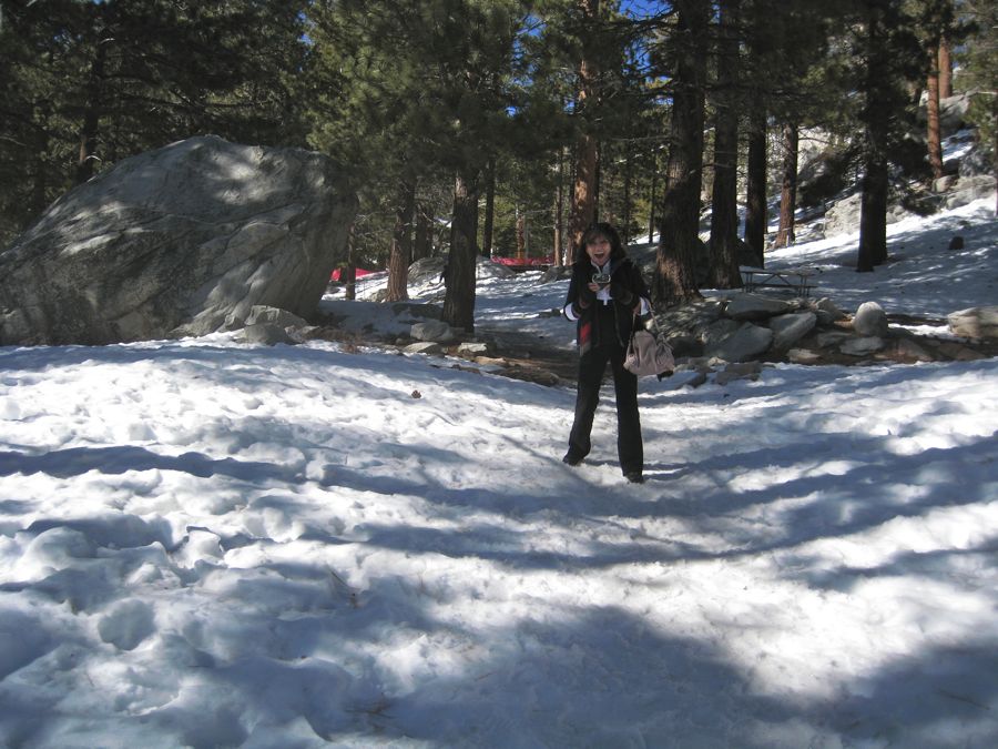 Aerial Tramway with Bunny 3/9/2011