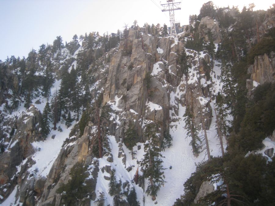 Aerial Tramway with Bunny 3/9/2011