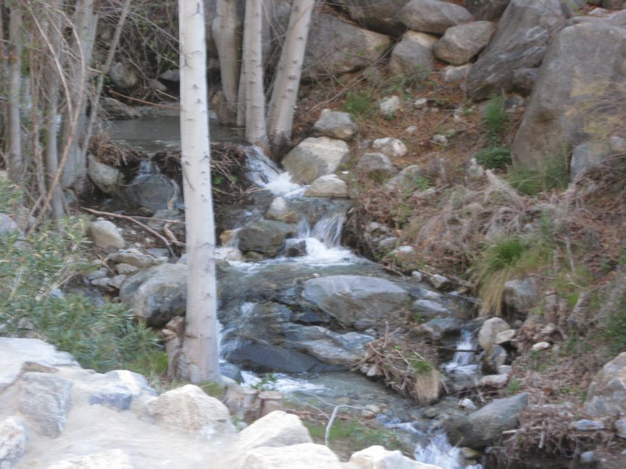 Aerial Tramway with Bunny 3/9/2011