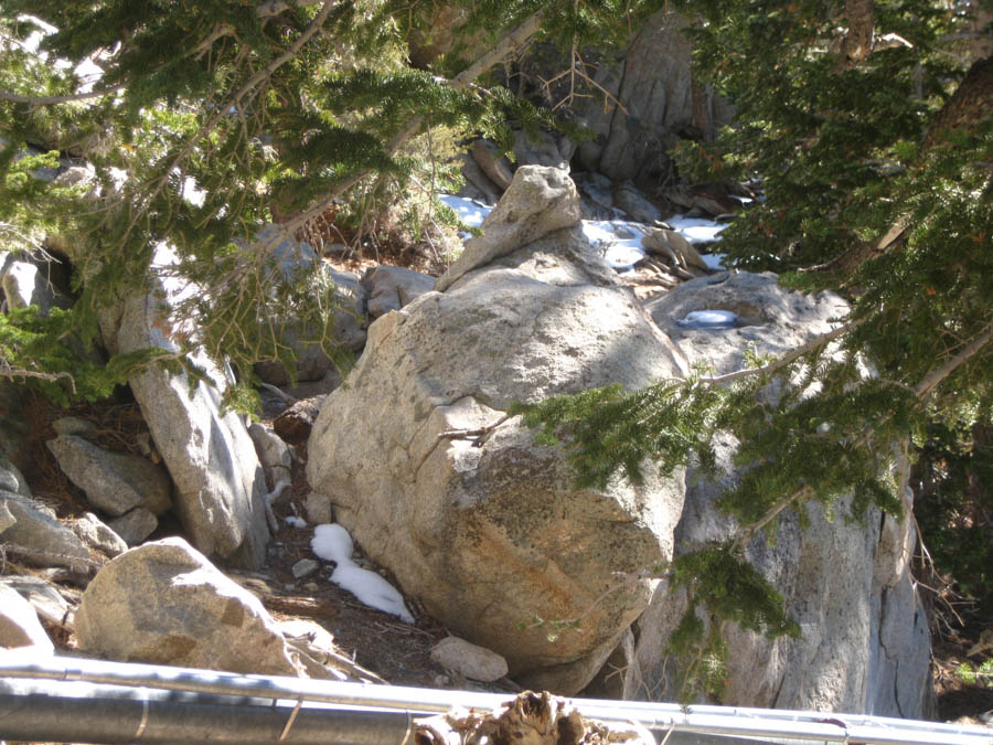 Palm Springs Aerial Tramway 2/5/2015