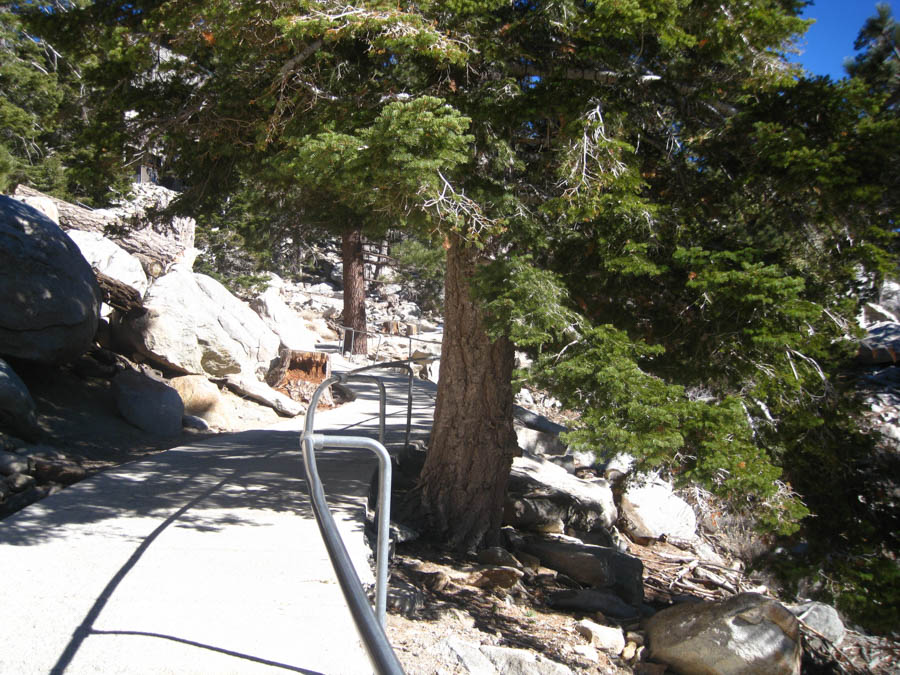 Palm Springs Aerial Tramway 2/5/2015