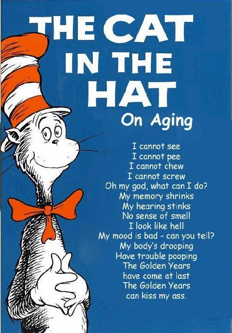 Cat in the hat