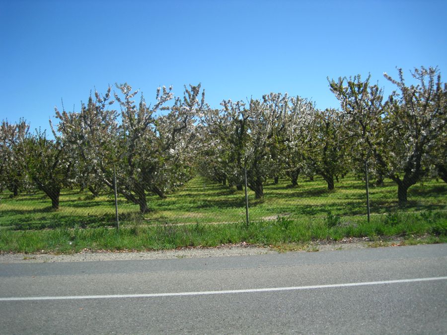 Saratoga, Rio Vista, Stockton April 2011