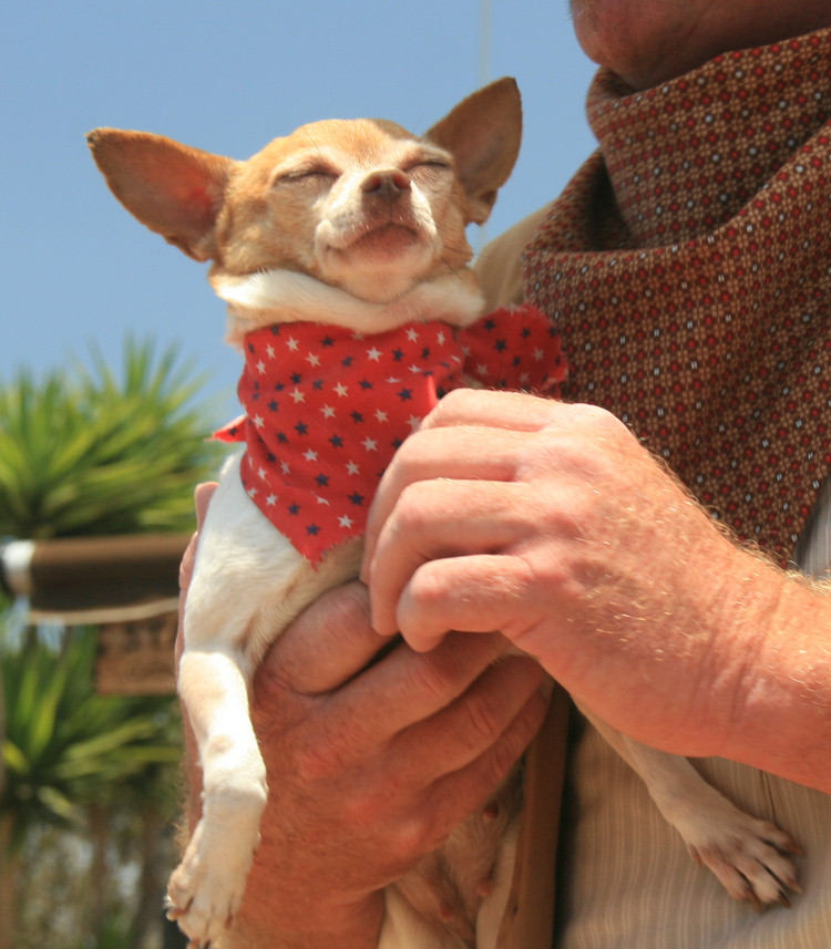 San Diego Fair 2009