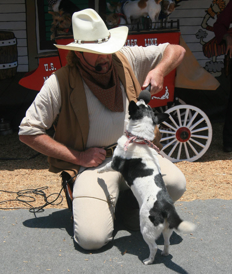 San Diego Fair 2009