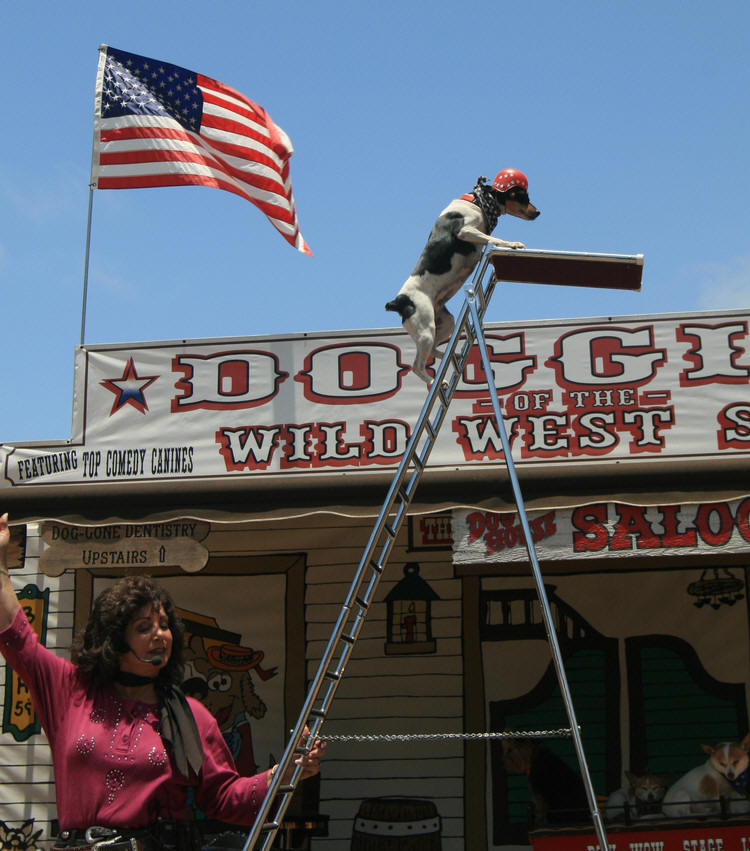 San Diego Fair 2009