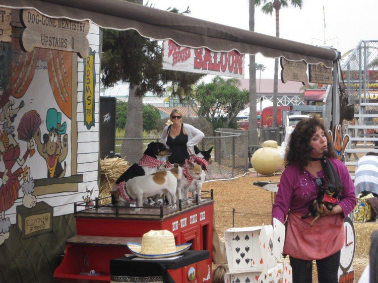 Sand Diego Fair 2010