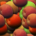 County Fair Backgrounds