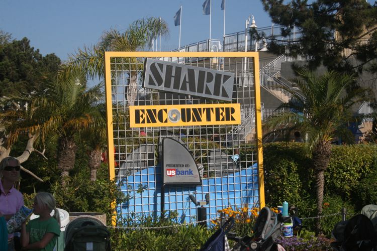 Sharks, Arctic, and Pets