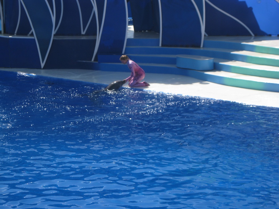 A visit to Sea World July 2014