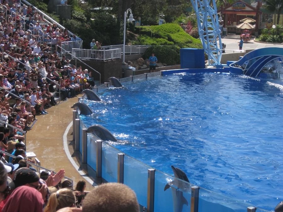 A visit to Sea World July 2014